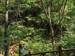 -大岭沟猕猴桃谷风景区