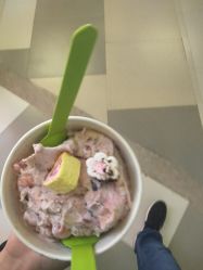 -朵莉丝希腊冻酸奶