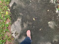 -兴隆隆苑咖啡庄园