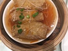 -南枝记