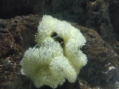 -苏州海洋馆