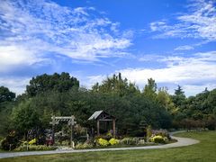 -上海共青森林公园