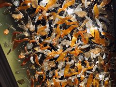 -东海朗廷酒店-唐阁T’ANG COURT 中餐厅