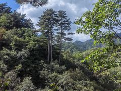 -玉渡山自然风景区