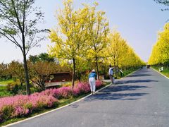 -雨花胜境