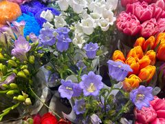 -双季花艺园艺市场(浦东店)