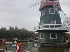 -洛阳郁金香牡丹园