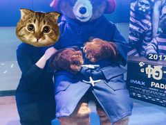 -博纳国际影城IMAX(中央大道店)