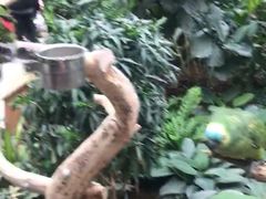 -南宫温泉水世界