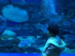 -成都浩海立方海洋公园