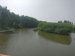 -白洋淀景区