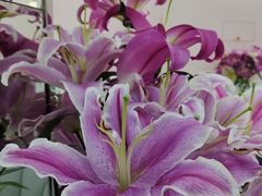 -谦和素食自助餐(云峰花园店)