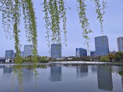 -大宁公园