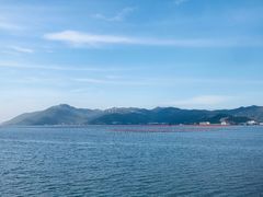 -官塘兄弟·潮汕牛肉店(官塘总店)