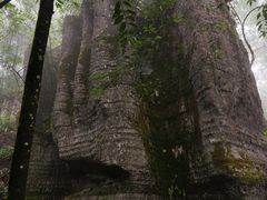 -山王坪喀斯特国家生态公园