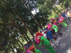 -长春公园(普阳街道)