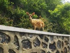 -大连森林动物园