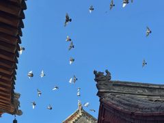 -天天向上素食餐厅(五台山店)