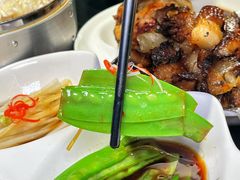 -蒙料·手把肉(望京店)