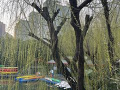 -大宁公园
