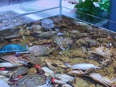 -聚盛源蒸汽海鲜火锅烤肉自助(巨川金海岸购物广场店)