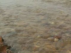 -瑶湖郊野森林公园