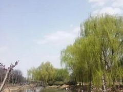 -西安浐灞国家湿地公园