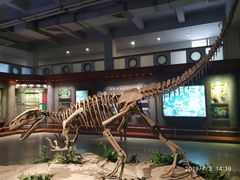 -自贡恐龙博物馆