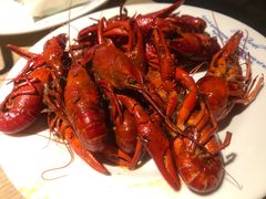-星伦多自助料理(爱琴海店)