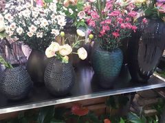 -新荟城(望京店)