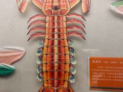 -潍坊世界风筝博物馆