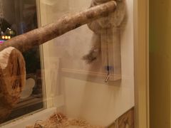 -龙猫仔乐园(惠福东路店)