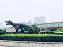 -陕西自然博物馆