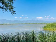 -野鸭湖国家湿地公园