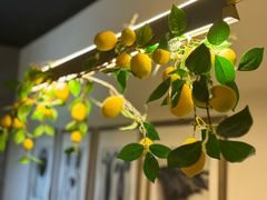 -Wood Garden(合生汇店)