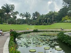 -新加坡植物园