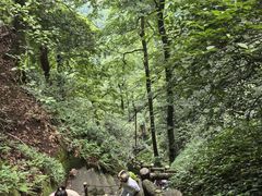 -綦江古剑山