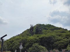-桃花岭景区
