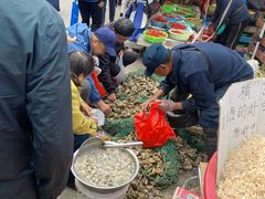 -李村大集