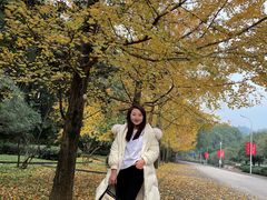 -西南交通大学(峨眉校区)