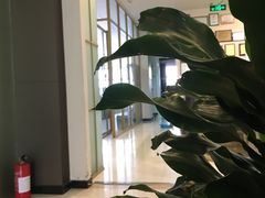 -王晓峰牙科(府前街院区)