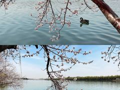 -颐和园