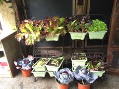 -旅马餐厅(茅家埠店)