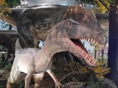 -湖南省地质博物馆