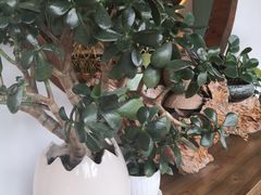 -茶油香闽南菜·花园餐厅(前埔店)