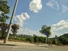 -宠颐生宠物医院(·宠保定点·鹰潭分院)