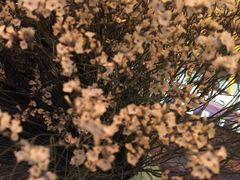 大堂-MIKAKU(万达广场上海宝山店)