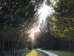 -长春公园(普阳街道)