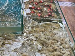 -旺角小渔村(幸福中路店)