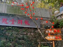 -龙井壹号·茶缘山景宴(龙井村店)